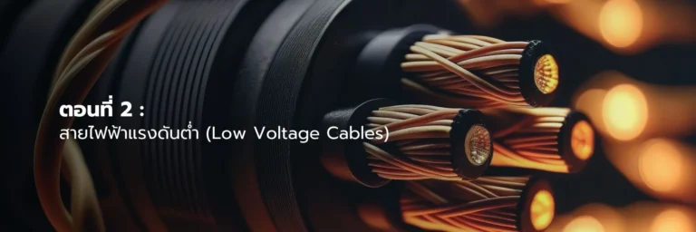 ตอนที่ 2: สายไฟฟ้าแรงดันต่ำ (Low Voltage Cables)
